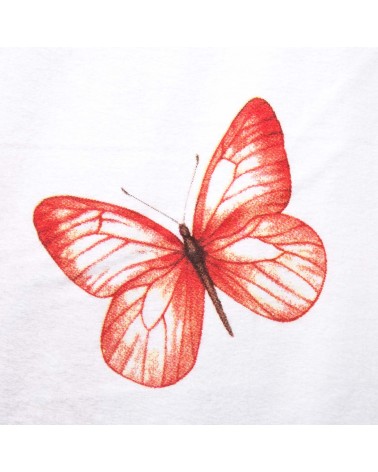 Pościel flanela bawełniana 160x200 + 2x70x80cm 31512/1 FLANELOVE Darymex