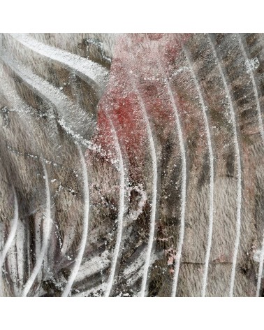 Pościel makosatyna 200x220 + 2x70x80 Eva 19 Eurofirany