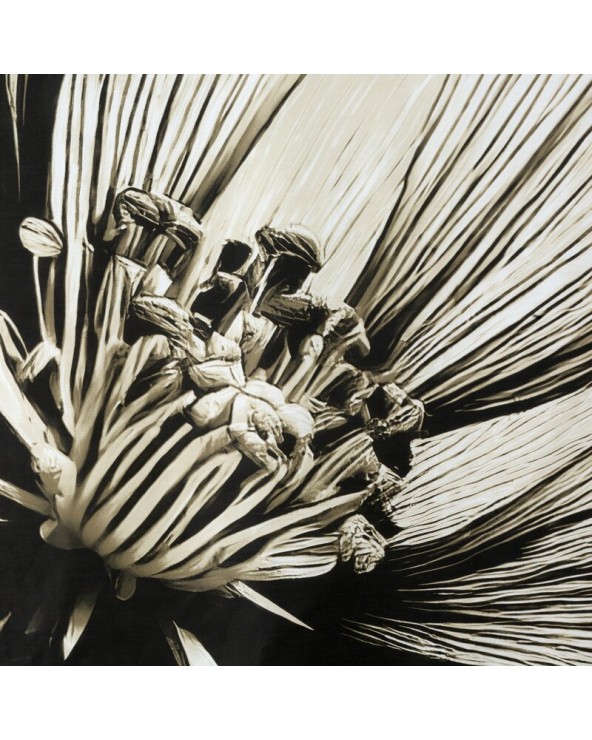 Pościel satyna bawełniana 200x220 + 2x70x80 Spring 78 Eurofirany